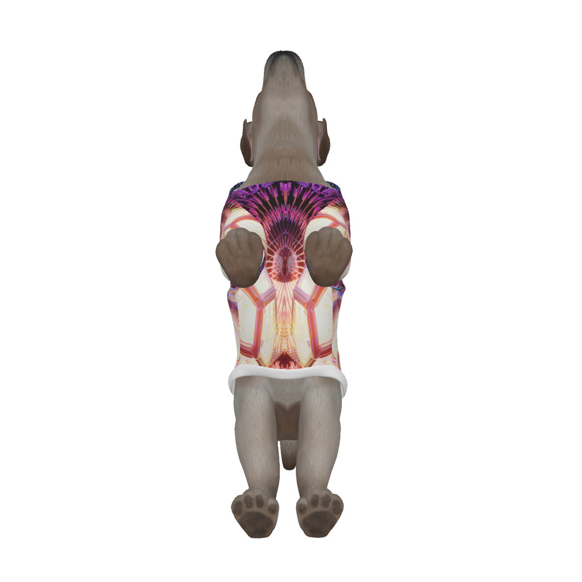 Psychedelic 3D Digital Art Print Dog's Pullover Hoodie